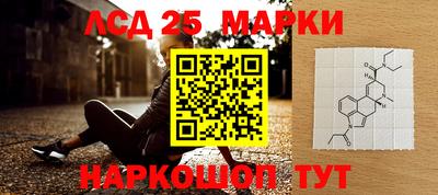индика Кулебаки