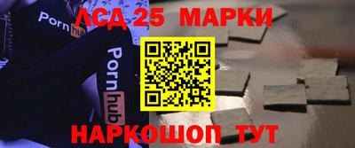 индика Кулебаки