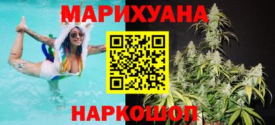 индика Кулебаки